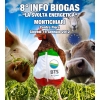 8° INFO BIOGAS