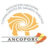 XXV Congreso ANCOPORC