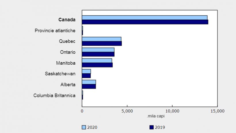 Inventari totali dei suini: 1&deg; gennaio 2019 e 2020
