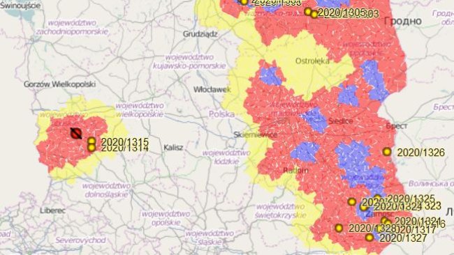 Primer foco de PPA en doméstico al oeste del país.