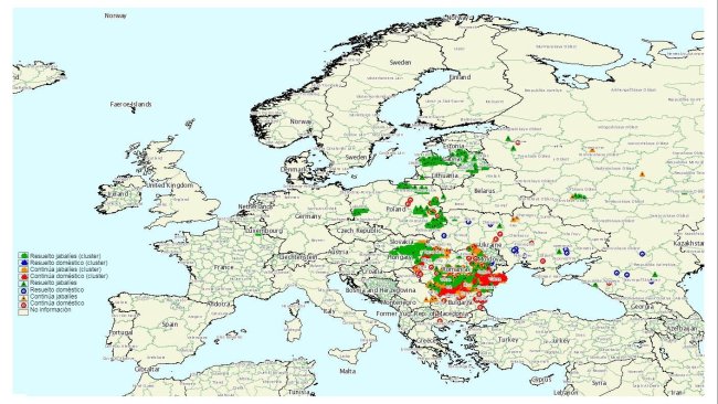 Focolai di PSA nella UE 1° Trimestre 2020