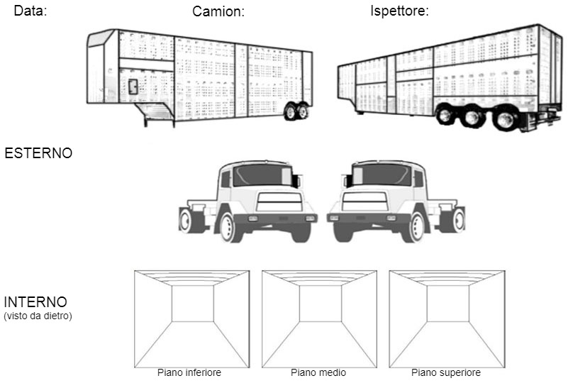 Foto 4: Esempio di grafici come parte della check-list durante l'audit visivo.