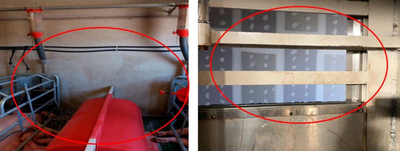 Foto 1: Stesso errore in reparti di allevamento così come in camion per trasporto, la macchina a pressione deve fare tutto il lavoro.