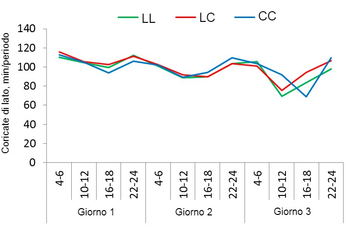 Figura1. Modello di riposo delle scrofe nel sistema SWAP con 3 strategie d&#39;uso distinte: nessun confinamento, confinamento dopo il parto&nbsp;e per 4 giorni (dopo libere) o confinamento il giorno prima del parto&nbsp;e per 4 giorni (dopo libere). Il tempo in cui le scrofe sono rimaste coricate dalla loro parte durante i primi 3 giorni di lattazione&nbsp;(registrati in periodi di 2 ore) nei 3 trattamenti: libere al parto ed in lattazione&nbsp;(LL), confinate&nbsp;dopo il parto e durante i primi 4 giorni di lattazione&nbsp;(LC), confinate&nbsp;un giorno prima del parto&nbsp;previsto&nbsp;e durante i primi 4 giorni di lattazione (CC).
