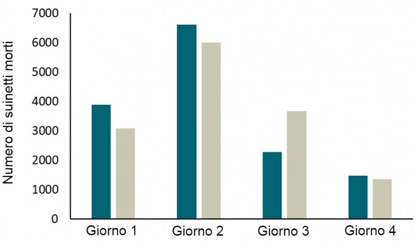 Figura 2. Registrazione&nbsp;(2 anni) di mortalit&agrave; di suinetti in 2 allevamenti con box&nbsp;SWAP. La maggior parte delle perdite si &egrave; verificata durante i primi 4 giorni e, soprattutto, durante le prime 24 ore di vita.
