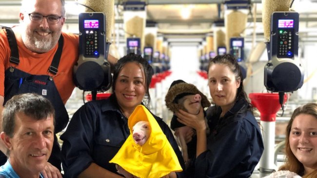 Foto 2. Equipo de trabajo