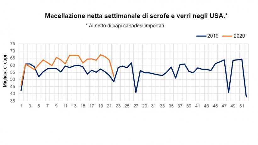 Fonte: dati del servizio di marketing agricolo, trasformazioni del servizio di ricerca economica dell&#39;USDA, USDA.
