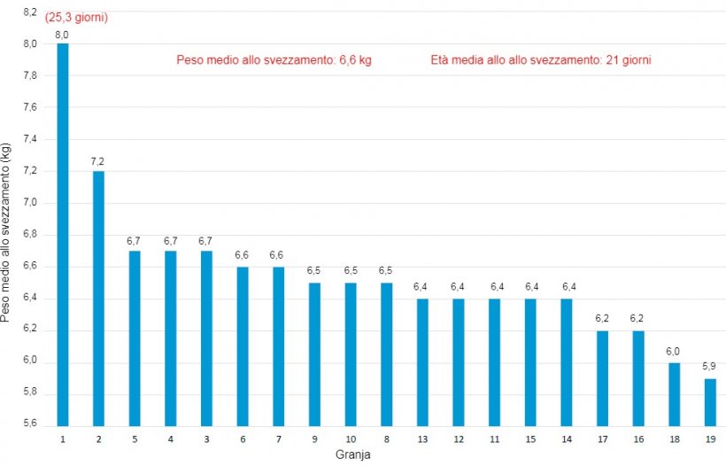 Grafico 3. Peso allo svezzamento in diversi allevamenti di un sistema produttivo nel 2018.
