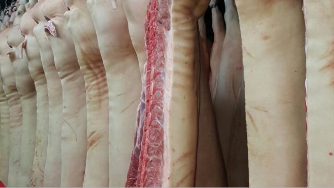 Carne suina