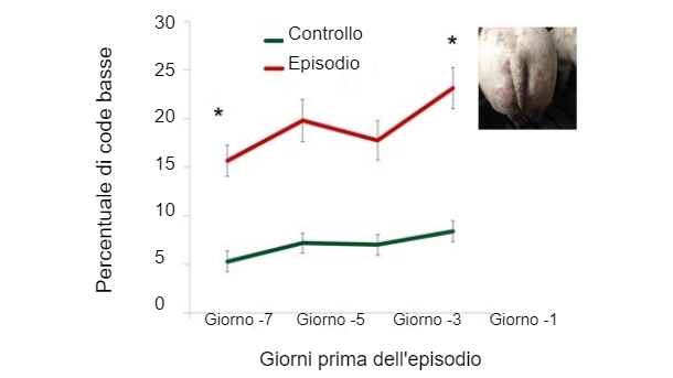 Figura 1. Percentuale di code basse nei giorni precedenti l&#39;episodio.
