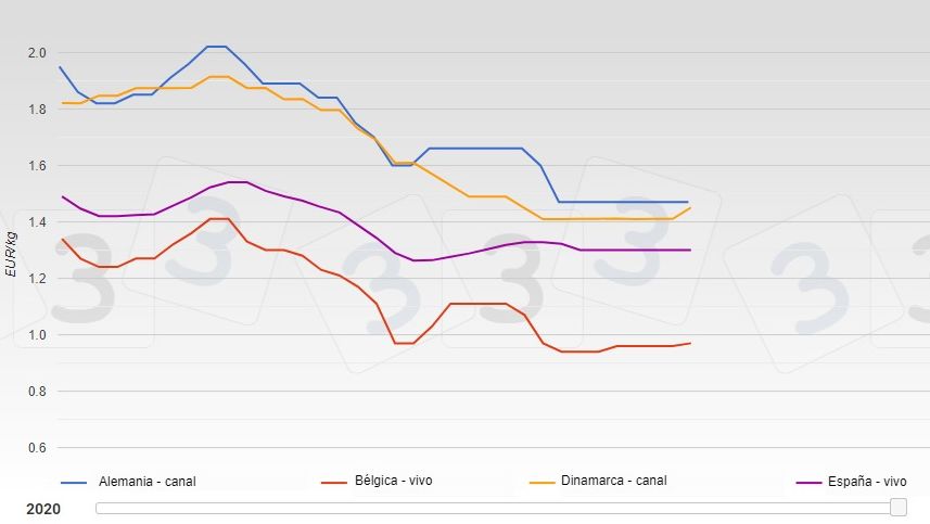 Evoluzione dei prezzi dei suini nei&nbsp;diversi paesi europei da gennaio ad agosto 2020.

