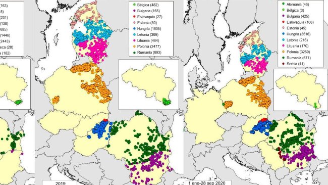 Mappa dei casi di cinghiale dichiarati nel 2018, 2019 e 2020 (fino al 28 settembre 2020) (Fonte RASVE-ADNS)