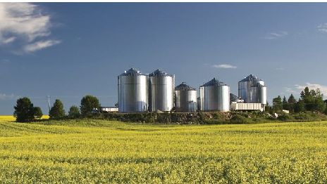 Immagine&nbsp;2. Fabbrica di mangimi nel Nord America. Fonte&nbsp;ANACAN.
