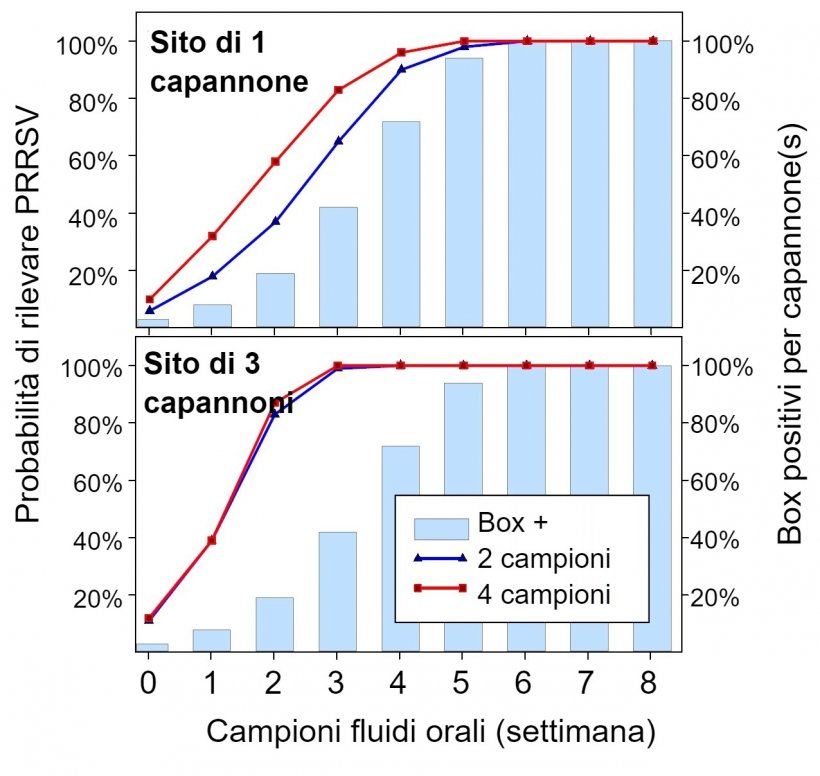 Figura 1. Rilevazione del PRRSV mediante campionamento spaziale fisso. Probabilit&agrave; di rilevare &ge; 1 campione positivo al PRRSV in funzione del numero di campioni prelevati per capannone&nbsp;(2 o 4) e del numero di box&nbsp;campionati per allevamento&nbsp;(1 o 3). Si noti che la probabilit&agrave; di rilevamento aumenta geometricamente con il numero di corde e capannoni&nbsp;campionati. Dati da Rotolo et al., (2017). 
