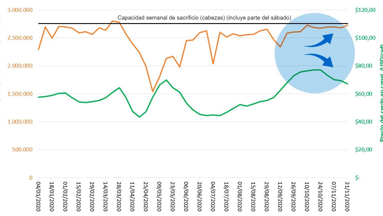 Grafico 1. Macellazioni&nbsp;settimanali&nbsp;sotto controllo federale, capacit&agrave; di macellazione e prezzo dei suini negli Stati Uniti nel 2020. Fonte: USDA, NASS, Quickstats and Market News Service
