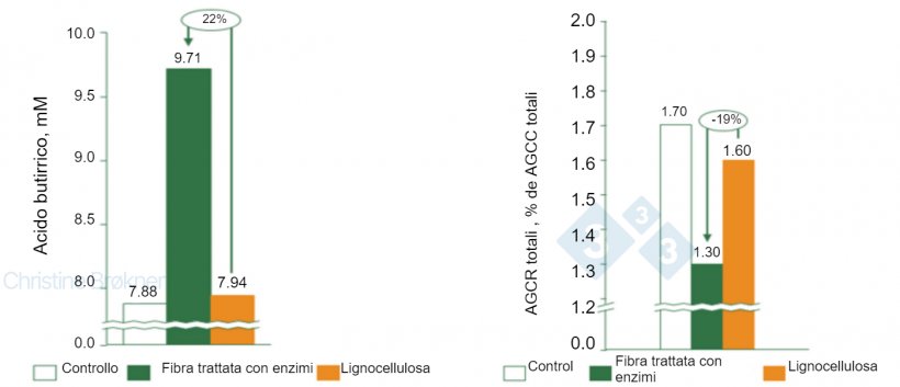 Figura 1. Controllo = no fibra, Fibra trattata&nbsp;con enzimi&nbsp;= PNA solubile, Lignocellulosa&nbsp;= PNA insolubile.&nbsp;(A) La produzione di acido butirrico&nbsp;aumenta del&nbsp;22% nei suinetti&nbsp;(15 kg) al fermentare fibra solubile. (B) La fermentazione delle proteine si riduce del&nbsp;19% nei suinetti&nbsp;(15 kg) al fermentare fibra solubile. AGCC = acidi grassi a catena corta, AGCR = acidi grassi a catena ramificata.
