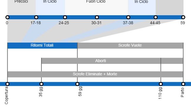 Tipi di aborti che comportano un tasso di natalit&agrave; inferiore, con dettagli sui diversi tipi di ripetizioni a seconda del momento in cui si verificano.
