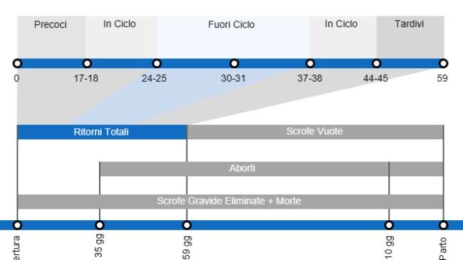 Tipi di perdite di gestazione che determinano un calo della portata al parto, con il dettaglio dei diversi tipi di perdite secondo l'intervallo tra inseminazione e perdita
