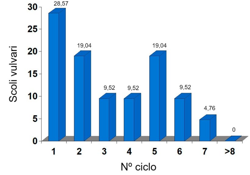 Scoli vulvari come percentuali sulle copertura per ciclo in un allevamento con problemi di ripetizione irregolare.