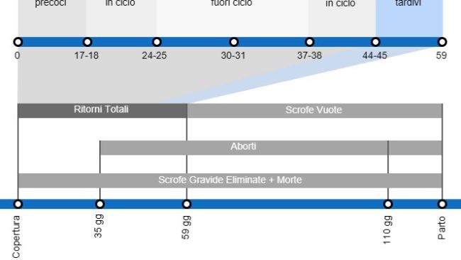 Tipi di perdite di gestazione che determinano un calo della portata al parto, con il dettaglio dei diversi tipi di perdite secondo l'intevallo tra inseminazione e perdita di gravidanza.
