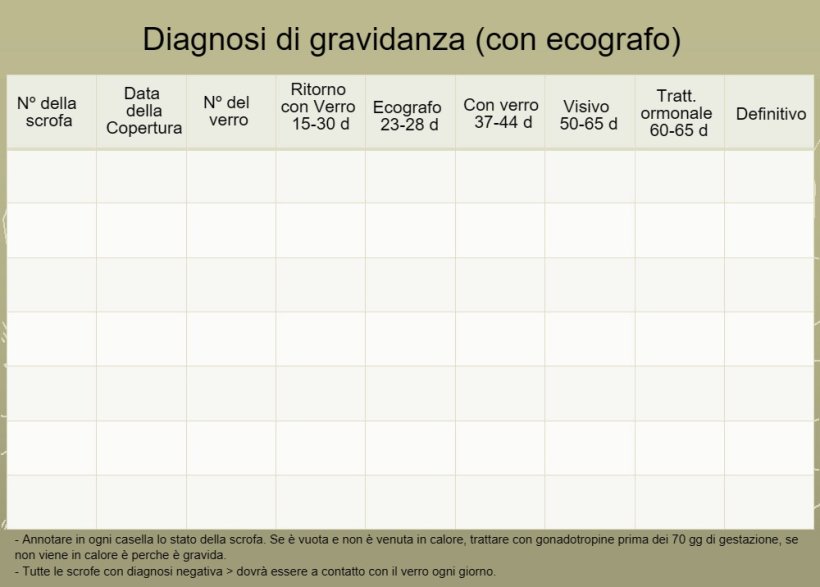 Control de gestación