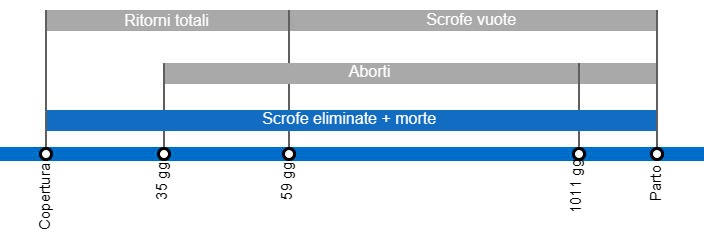 Tipi di perdite di gravidanza che comportano un tasso di natalità inferiore, con dettagli sui diversi tipi di ritorni in calore secondo il momento in cui si verificano.