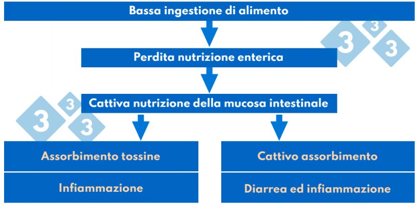 Tabella&nbsp;3. Patogenesi della sindrome post-svezzamento
