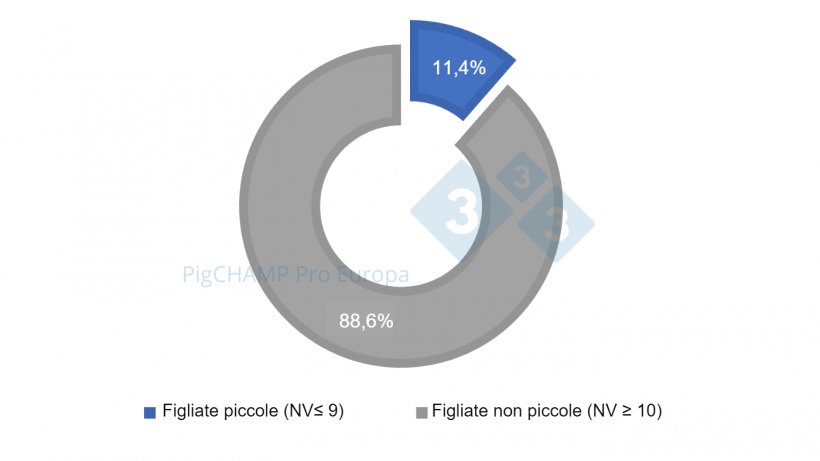 Grafico 1. Distribuzione percentuale delle figliate&nbsp;in base alle dimensioni, 2018-2019.
