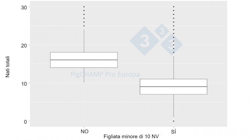 Grafico 4. Rappresentazione grafica mediante box plot del numero totale di suinetti nati in base alla dimensione della figliata, 2018-2019.
