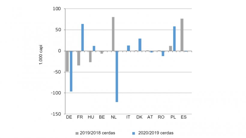 Variazione del numero di scrofe da riproduzione nei principali paesi produttori dell&#39;UE. Fonte: DG Agricoltura e sviluppo rurale, sulla base di Eurostat.
