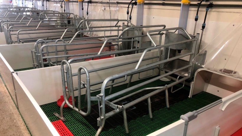 Immagine 2. Posto di gabbia parto&nbsp;adeguatamente pulita, disinfettata e asciugata per ricevere l'ingresso delle scrofe al parto.
