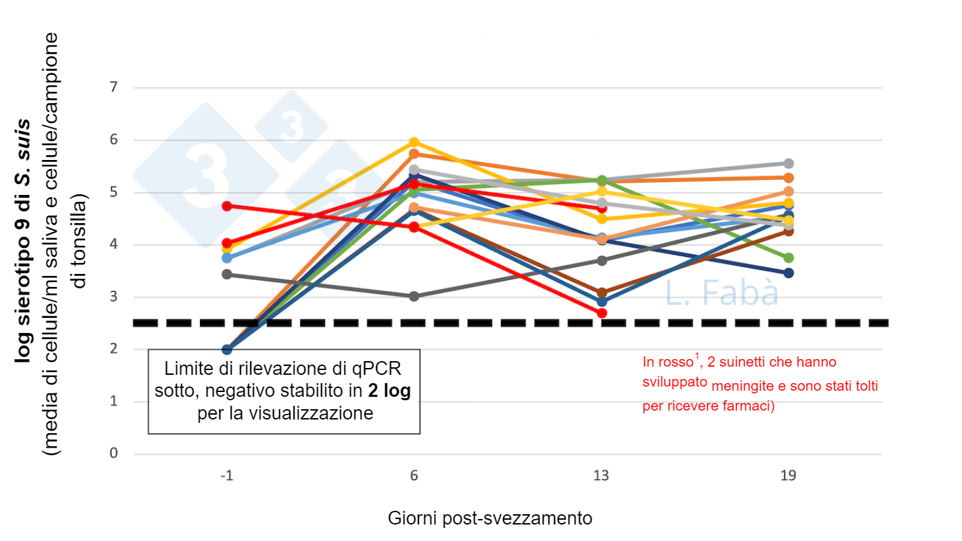 Prezzo del amoxicillina