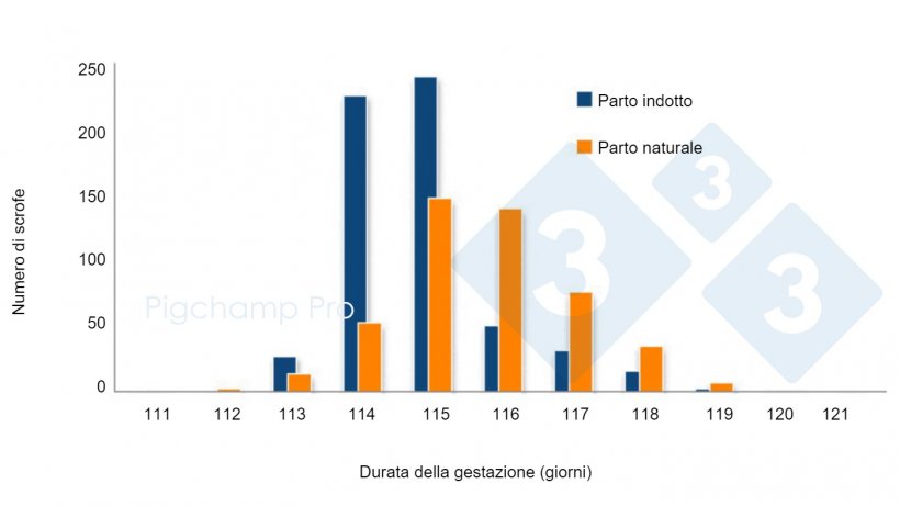 Grafico 3. Confronto della durata della gestazione tra parto indotto a 114 giorni e parto naturale in uno specifico allevamento (Le scrofe ci chiedono 3tre4? 2/2).
