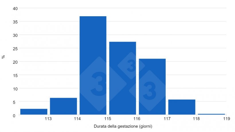 Grafico 1. Le risposte degli utenti di 333&nbsp;indicano una tendenza verso gestazioni superiori a 115 giorni.
