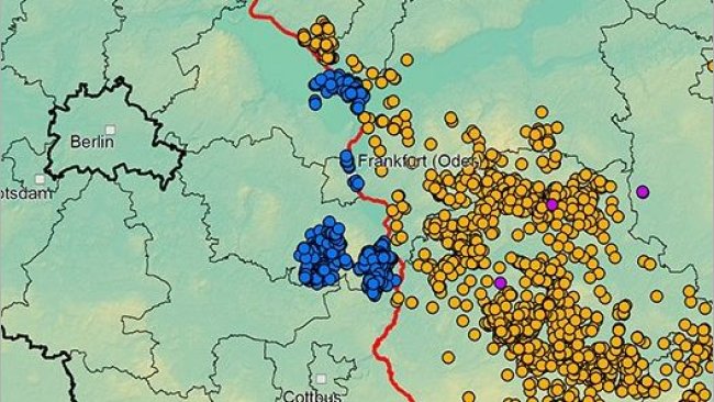 Peste suina africana in Germania e Polonia occidentale da settembre 2020. Fonte: ADIS, TSN (al 21 maggio 2021).