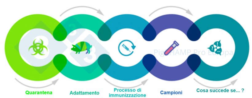 Figura 1. Aspetti chiave interconnessi che dovrebbero essere conosciuti prima della visita.
