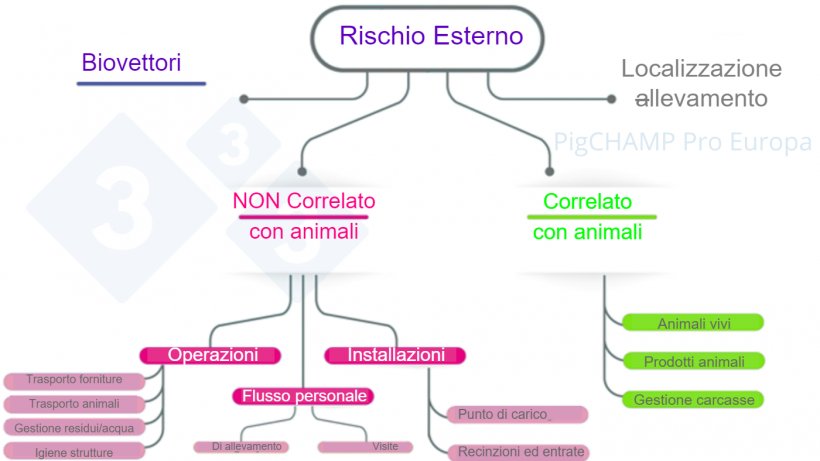 Figura 3. Schema di analisi dei principali fattori di rischio esterni durante la visita in azienda.
