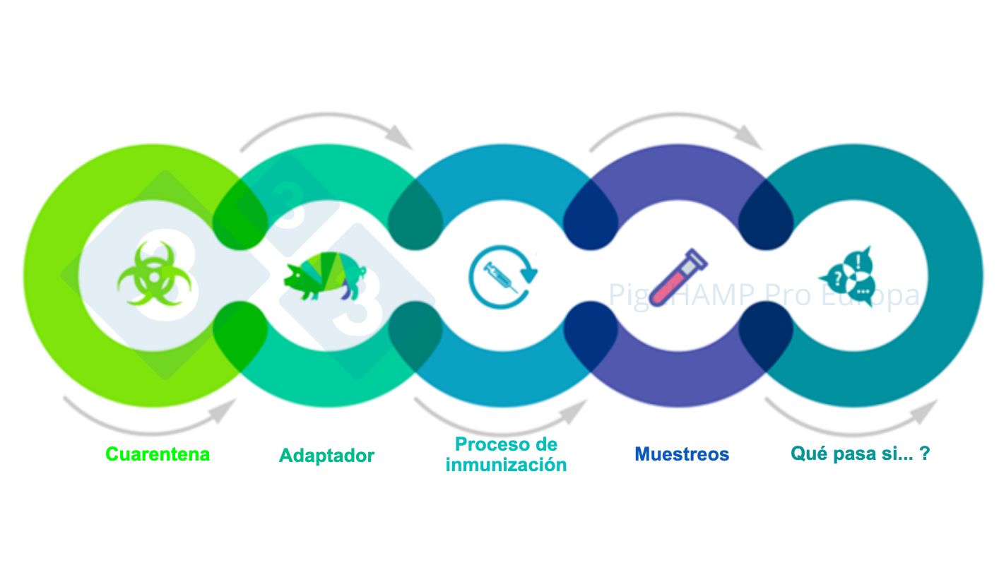 Figura 1. Aspetti chiave interconnessi che dovrebbero essere conosciuti prima della visita.

