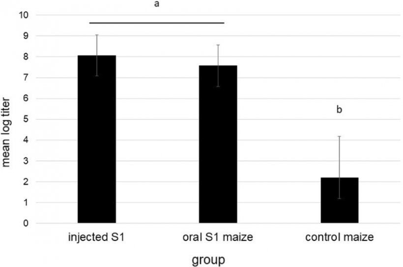 Risposta anticorpale neutralizzante del siero di maiale. La risposta anticorpale neutralizzante del siero dai gruppi indicati (n = 4) &egrave; stata valutata mediante un saggio di neutralizzazione del fuoco fluorescente a 15 giorni dopo il challenge (dpc), come descritto nella sezione dei metodi. A 15 dpc i gruppi di trattamento contenenti S1 (uno e due, a) hanno mostrato differenze significative con il gruppo di controllo (tre, b) con p-value per ogni confronto sostanzialmente inferiori a 0,05. Non c&#39;era alcuna differenza significativa nei titoli tra i gruppi di trattamento uno (iniettato S1) e due (mais somministrato per via orale S1).
