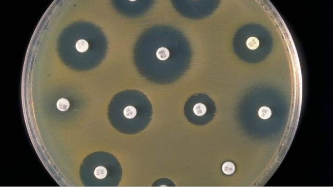 antimicrobial resistance