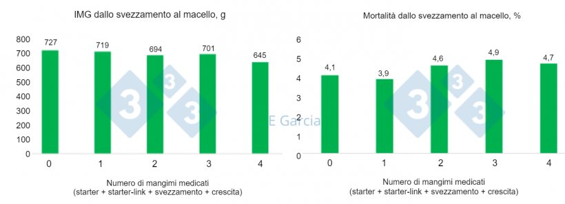 Figura 1. Dati di 60 allevamenti che mostrano una diminuzione dell&#39;incremento&nbsp;medio giornaliero ed un aumento della mortalit&agrave; negli allevamenti che utilizzano pi&ugrave; antibiotici. Il numero dei mangimi medicati &egrave; 1 = mangime&nbsp;starter, 2 = mangime&nbsp;starter + starter-link, 3 = mangime&nbsp;starter + starter-link + svezzamento, 4 = mangime&nbsp;starter + starter-link + svezzamento + crescita.
