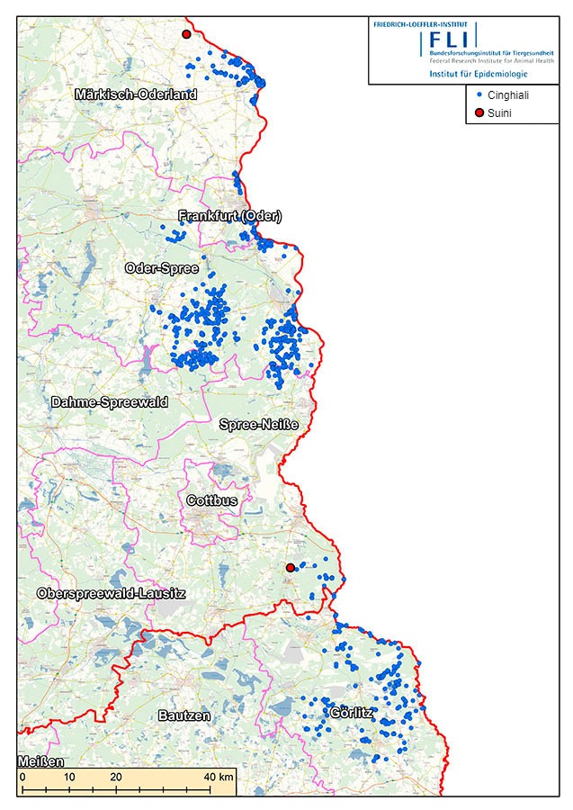 Mappa dei casi di PSA in Germania (al 16 luglio 2021). Fonte: FLI
