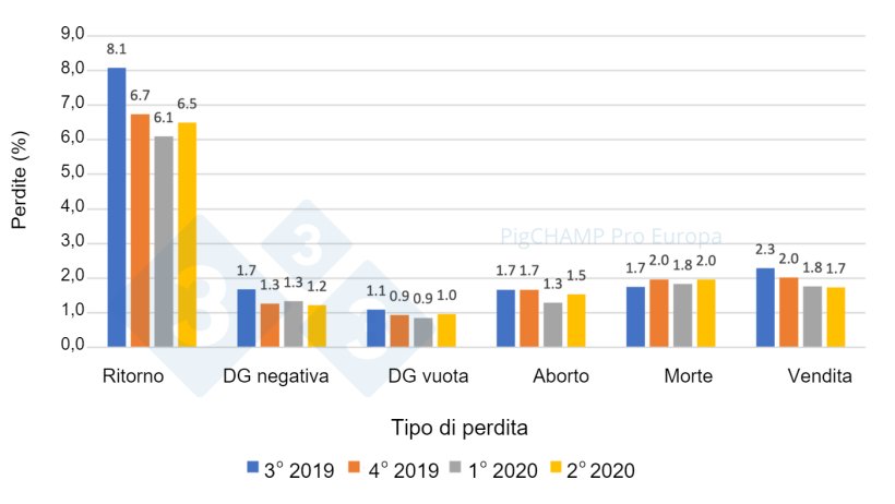 Grafico 6.&nbsp;Distribuzione e % delle perdite di gestazione per tipo di perdita: coperture del&nbsp;periodo Luglio&nbsp;2019-Giugno&nbsp;2020.
