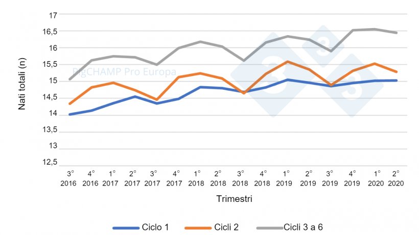 Grafico 5.&nbsp;Prolificit&agrave; per ciclo e trimestre delle coperture: coperture del periodo Luglio&nbsp;16-Giugno&nbsp;20.
