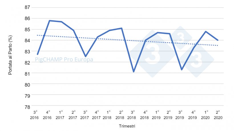 Grafico 1. Portata al parto per trimestre di coperture: coperture periodo Luglio&nbsp;16-Giugno&nbsp;20.
