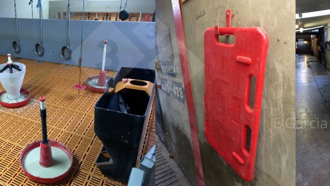 Figura 2. Avere la sala&nbsp;pronta prima dell'arrivo dei suinetti e mantenere tutta l'attrezzatura ordinata e pulita fa una grande differenza in termini di igiene, efficienza e comfort per i suinetti.
