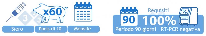 Positivo&nbsp;Stabile&nbsp;con Vaccinazione&nbsp;(IIvx). OPZIONE&nbsp;1)

Siero di 60 suinetti allo&nbsp;svezzamento analizzato mensilmente in &quot;pool&quot; di 10. Tutti i lotti entro un periodo di 90 giorni devono essere PRRSv negativi mediante RT-PCR per essere inseriti in questa categoria.

Se un campione viene rilevato positivo mediante RT-PCR pi&ugrave; di due settimane dopo la vaccinazione dell&#39;allevamento, la presenza di virus di campo deve essere esclusa utilizzando i metodi diagnostici disponibili, ad esempio mediante sequenziamento.
