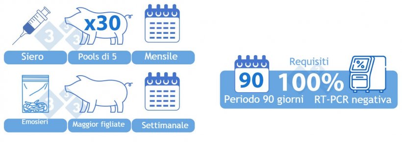 Positivo Stabile con Vaccinazione&nbsp;(IIvx). OPZIONE&nbsp;2) Combinazione di siero e fluidi di lavorazione-emosieri. Siero di 30 suinetti allo svezzamento analizzato mensilmente in &quot;pool&quot; di cinque. Un campione aggregato di fluidi di lavorazione-emosieri analizzati settimanalmente mediante RT-PCR. La maggior parte delle figliate &quot;processate&quot;&nbsp;durante la settimana dovrebbe essere rappresentata nel campione. Tutti i campioni devono essere negativi per un periodo di 90 giorni per raggiungere la categoria.

Se un campione viene rilevato positivo mediante RT-PCR pi&ugrave; di due settimane dopo la vaccinazione dell&#39;allevamento, la presenza di virus di campo deve essere esclusa utilizzando i metodi diagnostici disponibili, ad esempio mediante sequenziamento.
