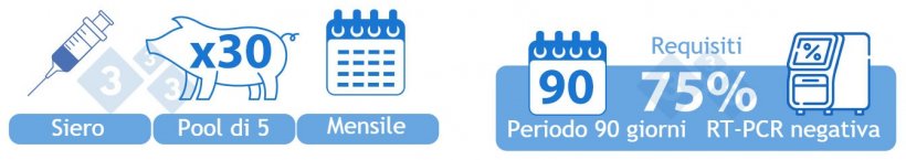 Positivo instabile bassa prevalenza (I-B). OPZIONE&nbsp;1) Siero di 30 suinetti allo svezzamento analizzato mensilmente in &quot;pool&quot; di 5. Il 75%&nbsp;( 3 su 4) dei campioni deve essere PRRSv negativo (mediante RT-PCR) in un periodo di 90 giorni per entrare in questa categoria.
