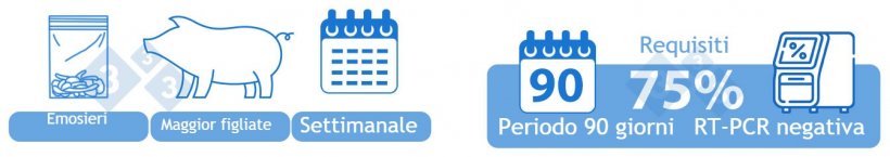 Positivo Instabile Bassa Prevalenza (I-B). OPZIONE&nbsp;2) Un campione aggregato dei fluidi di lavorazione-emosieri a settimana viene testato mediante RT-PCR. La maggior parte delle figliate&nbsp;processate&nbsp;durante la settimana dovrebbe essere rappresentata nel campione. Il 75%&nbsp;(10 su 13) dei campioni in un periodo di 90 giorni deve essere negativo per entrare in questa categoria.
